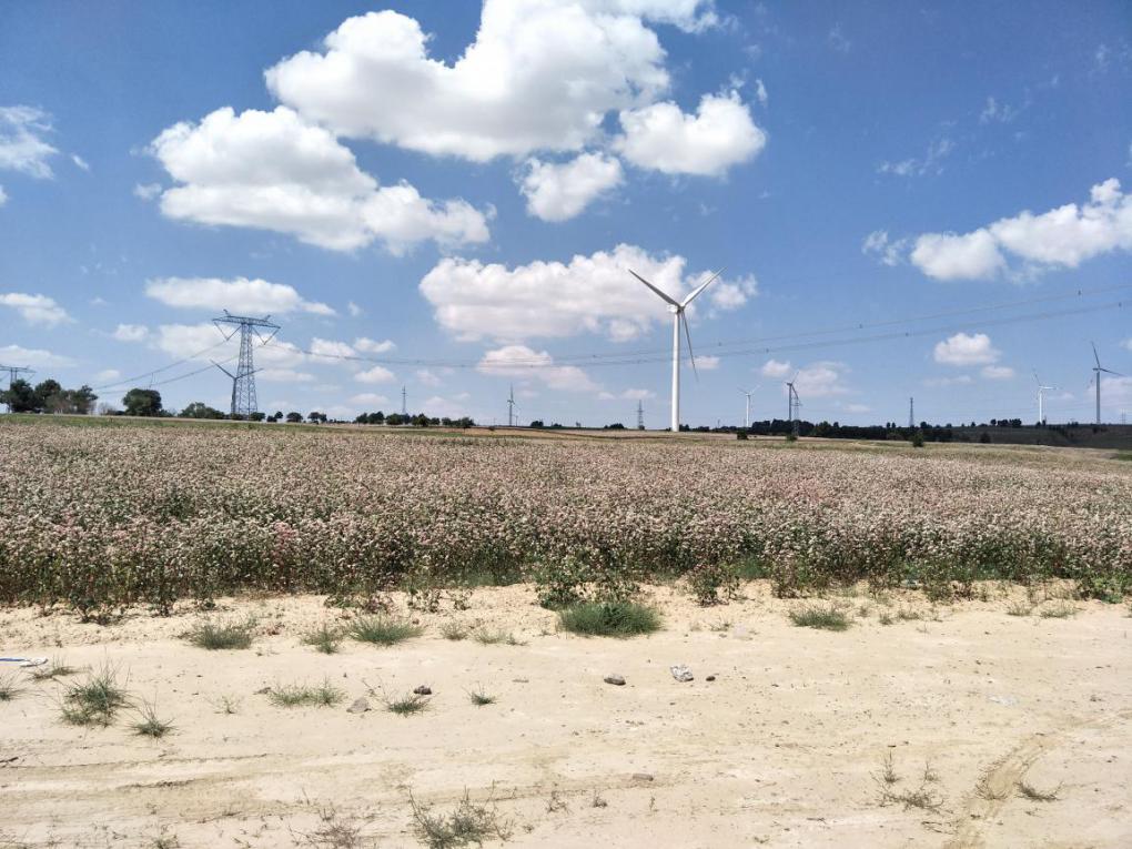 ʡطԴ޹˾ؿ 糡49.5MW̰ȫʩ
